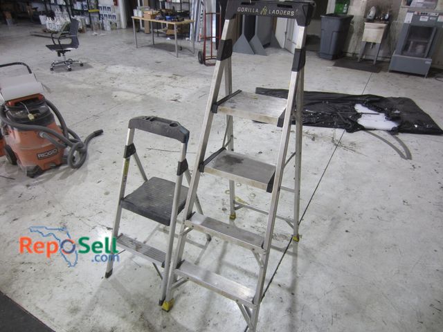 Lot 31-8038 - 5'3" Gorilla Ladder and Step Stool