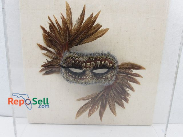 Lot 31-9097 - Shadowbox Bird Mask 20" x 19 x 5