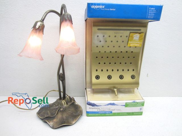Lot 31-6172 - Small Table Lamp (Power On) And Oxygenics Waterfall Showerhead In Box