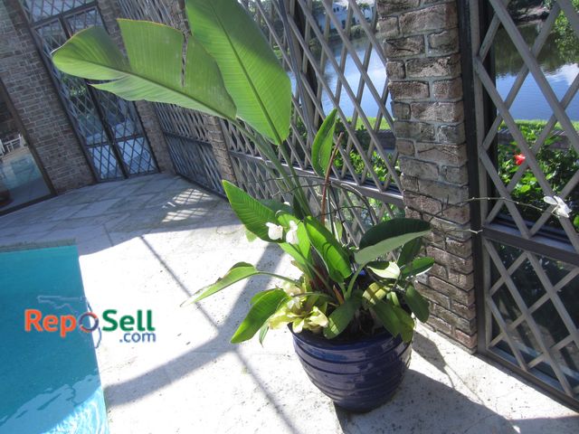 Lot 31-1408 - Large Ceramic Pot (19" H) With Plant - Heavy, Buyer Must Remove, Bring Labor