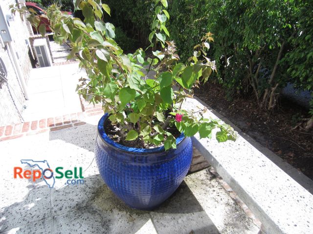 Lot 31-1409 - Large 24" Ceramic Pot With Plant - Heavy, Buyer Must Remove, Bring Labor