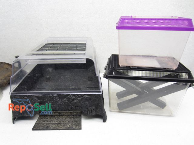 Lot 31-7474 - Reptile Platform, Floating Dock, Cricket Keeper, Small Crate - Largest 16x11"