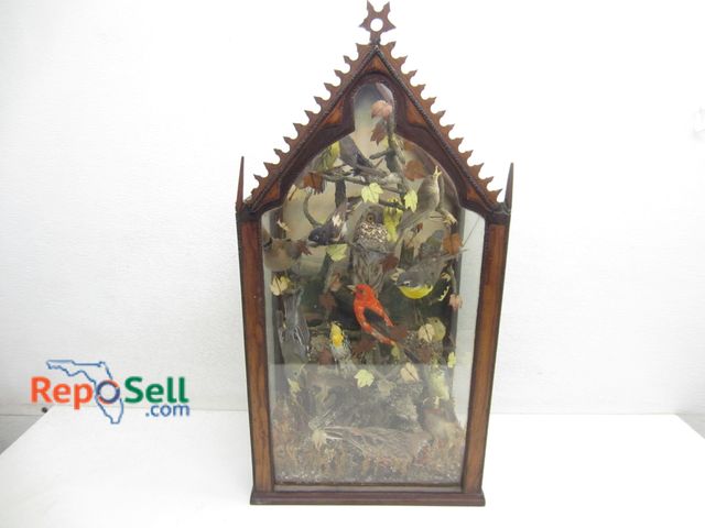 Reposell.com - Lot 31-3289 - Taxidermy wood bird display with 16 birds ...