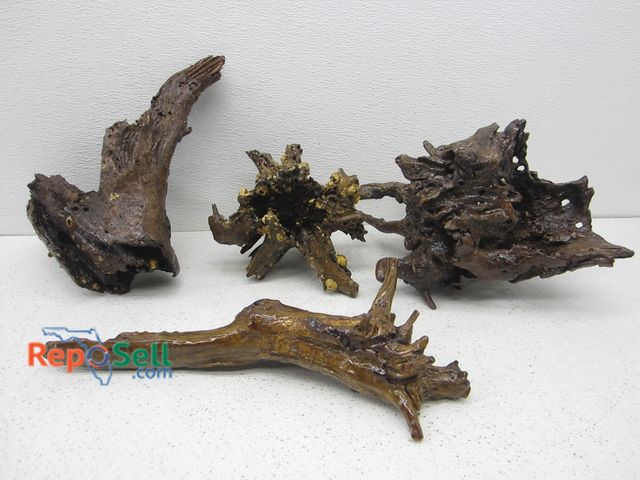 Lot 31-2534 - (4) Pieces of Driftwood