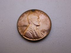 Lot 36-489881 - undefined