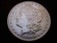 Lot 36-489822 - undefined