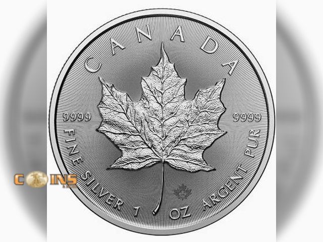 MICHIGAN: DORR- COINS, CURRENCY, GOLD AND SILVER.