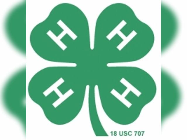Oceana County Fair 4h Auction, Hart, MI
