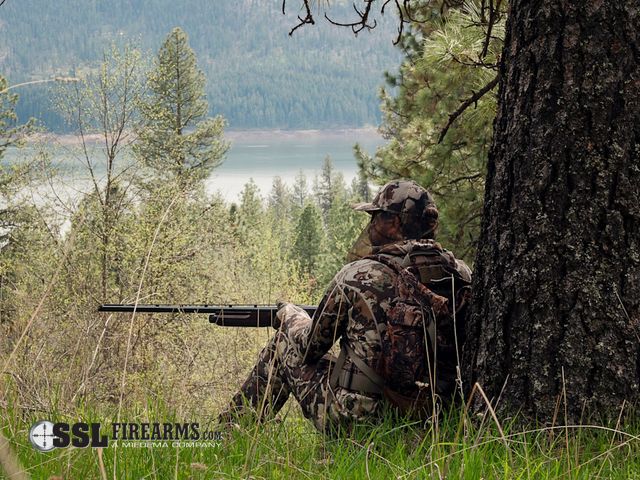 Sporting Goods & Firearms Auction (NO MINS OR RESERVES!) 5/12/2026