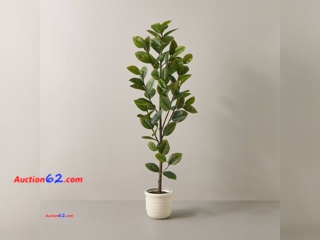 Lot 44-151b - Retail of $152.99-72" Faux Potted Rubber Tree - Hearth &amp; Hand™ with Magnolia Appears New, A basic inspection has been given to this item...