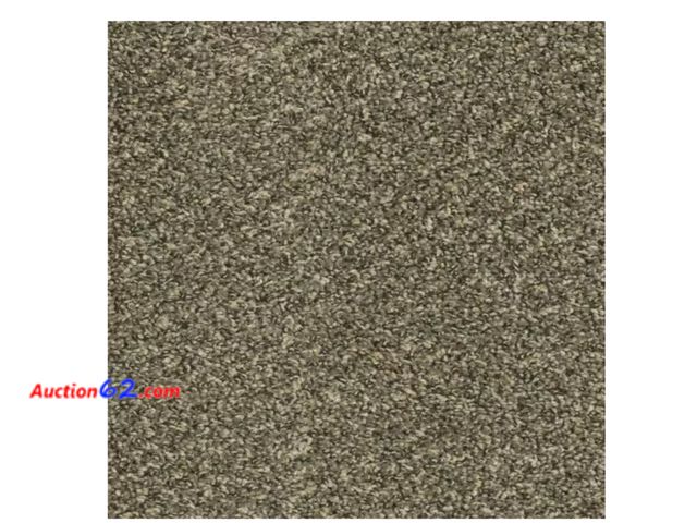 Lot 44-1140g - Retail value $54- Pebble - Riverstone - Brown Residential 18 x 18 in. Peel and Stick Carpet Tile Square (22.5 sq. ft.) Appears New, A basic ...