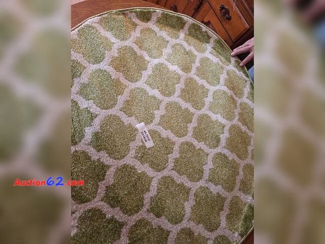 Lot 44-7011f - Trellis collection light green 3 ft. Round  E-Commerce Return, A basic inspection has been given to this item. Sold AS-IS.