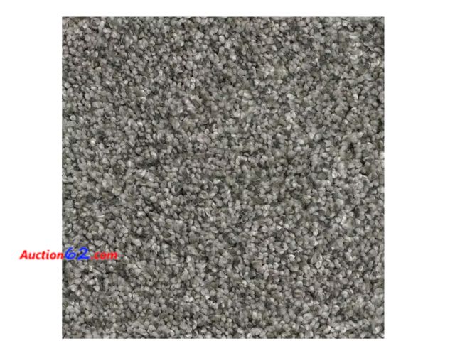 Lot 44-1130g - Retail value $71- Mesa - Boulder - Beige Residential 18 x 18 in. Peel and Stick Carpet Tile Square (22.5 sq. ft.) Appears New, A basic inspe...