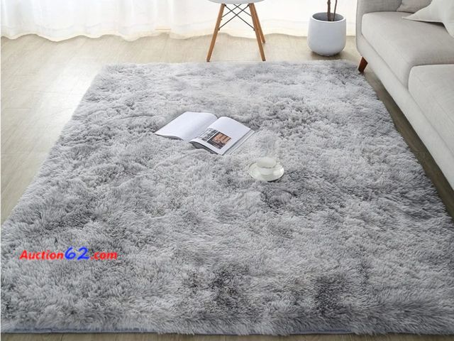 Lot 44-6955g - YXDSUBI Fluffy Fuzzy Soft Carpet, Shaggy Throw Rug (Light Gray, 2.6x4Feet)
