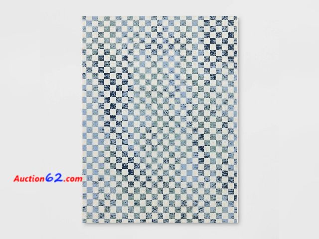 Lot 44-693p - 5'3"x7' Variegated Checkers Outdoor Area Rug Blue - Threshold™ Appears New, A basic inspection has been given to this item. Sold AS-IS. Not ...