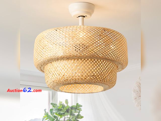 Lot 44-896w - $136 Retail price - SYDACG Boho Ceiling Fans with Lights, 20" Rattan Ceiling Fan with Light Remote Control, Caged Fandelier with 6 Speeds fo...