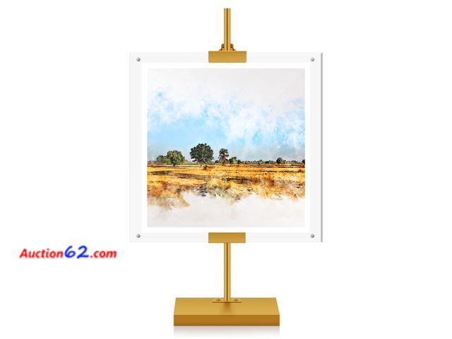 Lot 44-955m - Yaocom Adjustable Metal Easel Stand with Acrylic Floating Photo Frame, Gold Appears New, A basic inspection has been given to this item. Sol...