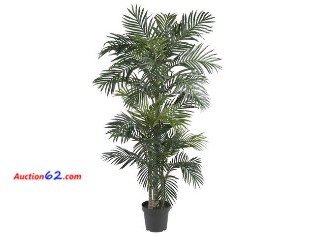 Lot 44-297p - Nearly Natural 6.5ft (78") Golden Cane Artificial Palm Tree – Lifelike Indoor Silk Palm with 3 Textured Trunks, 333 Flexible Fronds, Nursery...