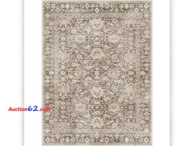 Lot 44-786w - $159.99 Retail price - phonzenuo 9X12 Area Rugs Machine Washable Rugs for Living Room Bedroom Hallway, Non Slip Indoor Soft Accent Distresse...