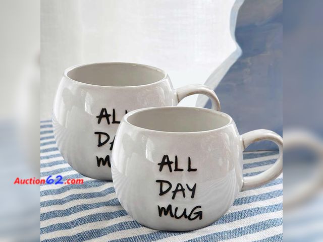 Lot 44-9170 - Retail of $24-Ceramic mug set 2-piece set - large capacity heat-resistant handle, Great for Tea Hot Chocolate, Microwave Safe, Modern, Uniqu...