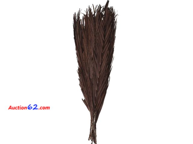 Lot 44-1588j - Dark Brown Dried Plant Palm Leaf Natural Foliage With Feather Inspired Stems Not Tested See All Photo's Appears New, A basic inspection has ...
