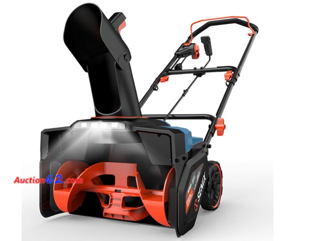 January 21st Auction