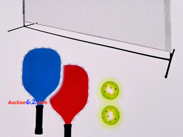Lot 44-7226e - MinnARK sports unisex multi-pack LED pickle ball portable set with light up net, paddles, balls  Appears New, A basic inspection has been gi...