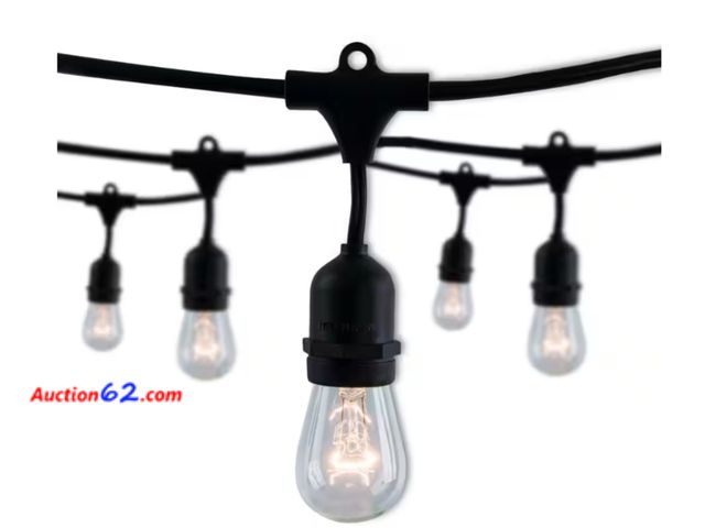 Lot 44-738b - Retail value $82- Outdoor/Indoor 48 ft. Plug-in S14 Incandescent String Light with Clear Vintage Style Bulbs Included 15 Sockets (2-Pack) 1....