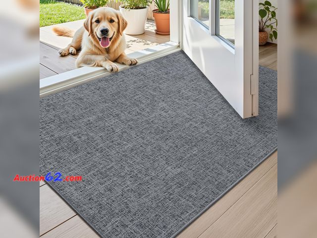 Lot 44-2567a - Color&amp;Geometry Ultra Thin Indoor Door Mat (Rolled-up NO Creases) 24"x36", Non Slip Rubber Backed Dirt Trapper Door Mat Indoor Entrance, ...