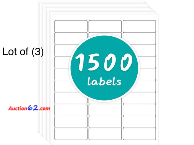 Lot 44-9137j - Retail of $45-Lot of (3) CATIFLIN Address Labels, 1" x 2-5/8", 1500 White Labels, 30 per Sheet, for Laser/Inkjet Printers Appears New, A bas...
