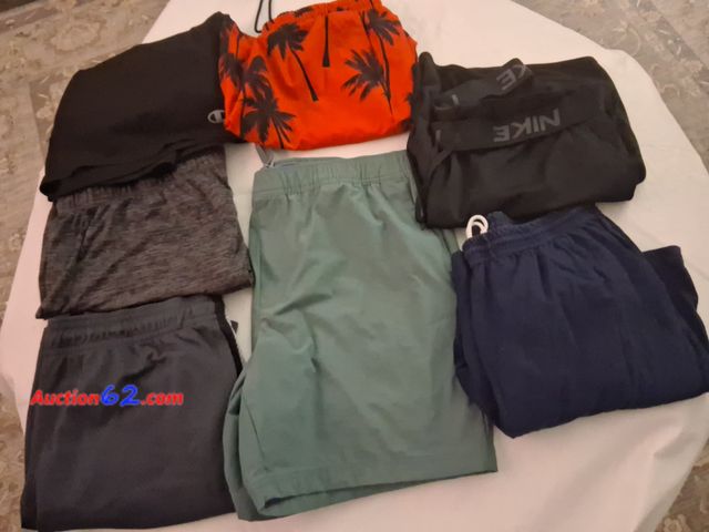 Lot 44-2006o - One size XL men's very gently used Nike shorts.  One pair very gently used XL Champion shirts.  One new without tag Apt. 9 (Kohl's brand) xl...