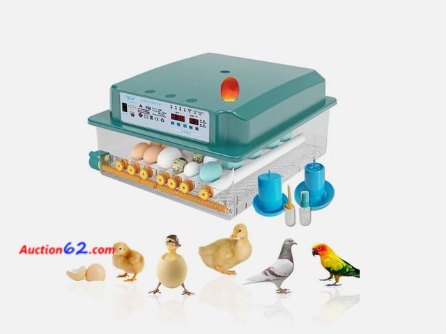 Lot 44-1717b - $86 Retail price - 110V Egg Incubator 36 Eggs Digital Incubator for Hatching Eggs Auto Egg Turning. Appears New, A basic inspection has been...