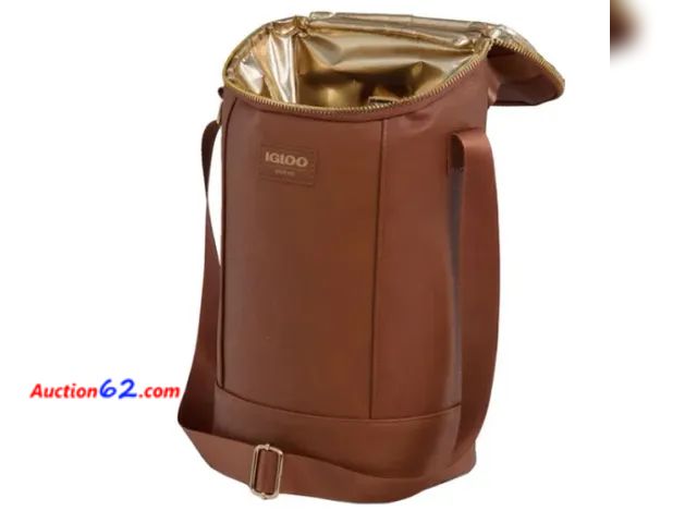 Lot 44-236g - Retail of $43- Igloo Beverage Tote- Minor Cosmetic Damage- See Photos