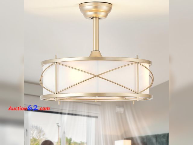 Lot 44-751w - $148 Retail price - Bexilyny Gold Fandelier Ceiling Fan with Light, 20" Boho Ceiling Fans with Lights and Remote with 6 Speeds for Living Ro...