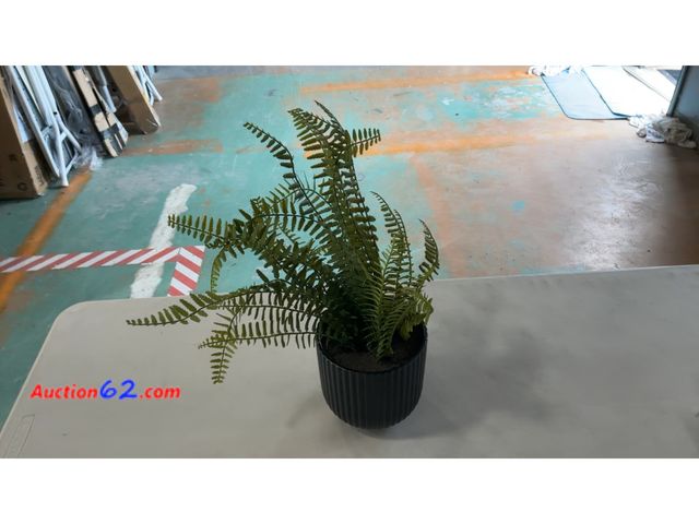Lot 44-1734a - Artificial Fern Plant in Black Ribbed Pot See All Photo's Not Tested E-Commerce Return, A basic inspection has been given to this item. Sold...