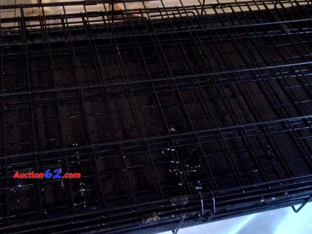 Lot 44-5586m - Used Metal Dog Cage 30 Inch Folding Pet Crate Black Used