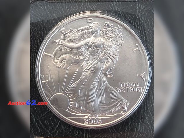 Lot 44-8304f - 2003 ONE OUNCE .999 PURE SILVER EAGLE IN A LITTLETON HOLDER! - NT
