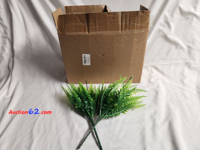 Lot 44-2335b - 15 bundles of 2 ferns per bag. Still in bags. See photos. 1. Appears New, A basic inspection has been given to this item. Sold AS-IS. 4. See...