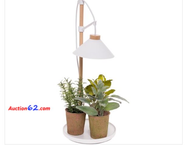 Lot 44-3015t - NEW - Mindful Design Tabletop Plant Grow Light - Modern Adjustable Plant Light for Indoor Plants - 300 Lumen - Indoor Plant Lights (White)  ...