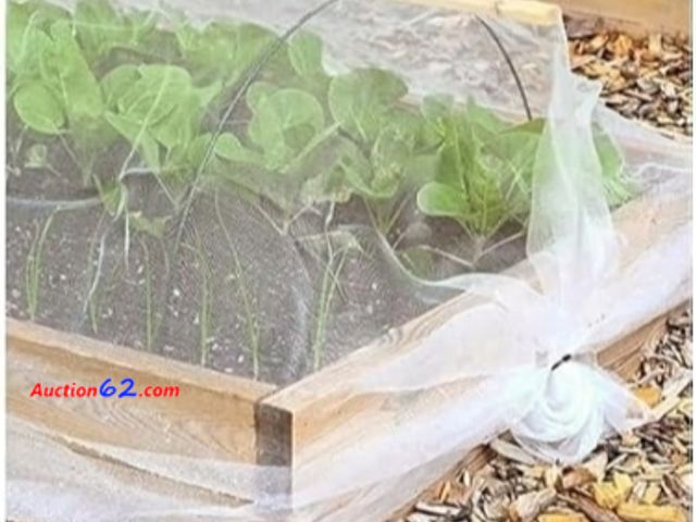 Lot 44-6506b - Garden Netting, Plant Netting,Bird Netting for Garden Protect Vegetable Plants and Fruit Trees,Plastic Trellis Netting for Birds, Deer,Squir...