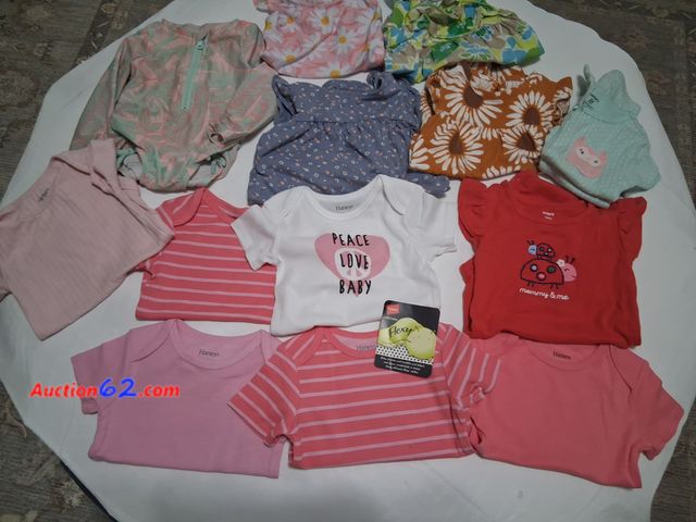 Lot 44-2010o - New 5 baby girls 18 - 24 month Hanes shirts.  Removed from package for pictures.  One 18 month gently used girls Carter's onesie.  One gentl...