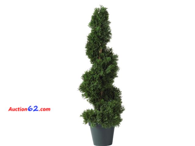 Lot 44-272b - Retail of $53- 2 ft. Cedar Spiral Silk Tree 1. Appears New, A basic inspection has been given to this item. Sold AS-IS.