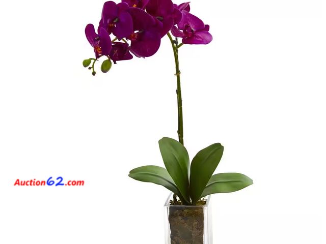 Lot 44-185b - 24 in. Indoor Orchid Phalaenopsis Artificial Arrangement in Vase 1. Appears New, A basic inspection has been given to this item. Sold AS-IS.