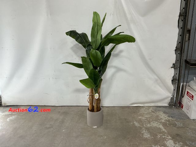 Lot 44-589m - 72" Artificial Banana Tree Plant Not Tested See All Photo's E-Commerce Return, A basic inspection has been given to this item. Sold AS-IS. C...