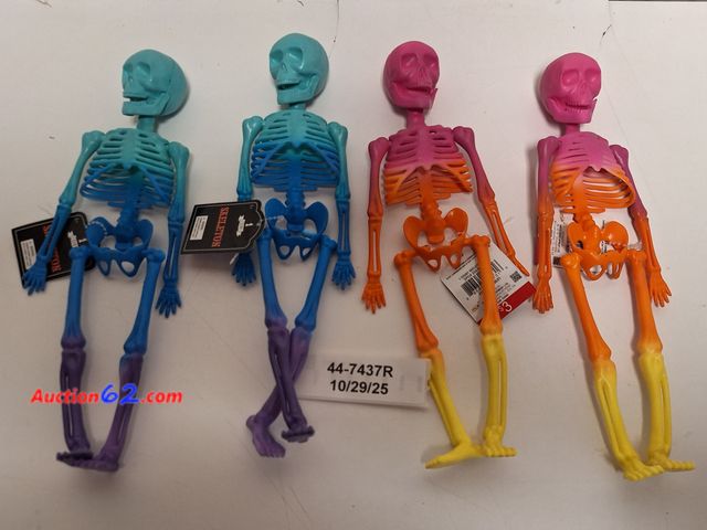 Lot 44-7437r - 12" Rainbow Skeleton, 4 pk Appears New, A basic inspection has been given to this item. Sold AS-IS.