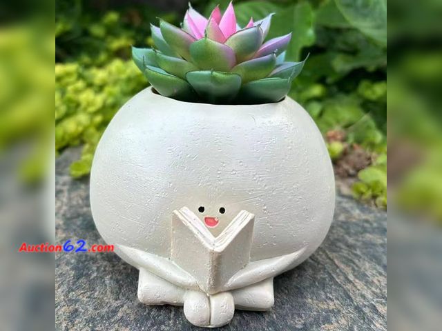 Lot 44-1545e - Smile Face Planter Pot with Drainage Hole, Unique Flower Pots for String of Pearls Plant Live, Reading Planter, Funny Resin Plant Pot for In...