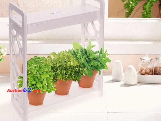 Lot 44-3005b - Mindful Design LED Indoor Herb Garden with Timer - at Home Mini Planter Kit for Herbs, Succulents, and Vegetables w/Hexagon Cutout (White) -...