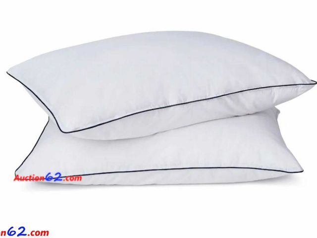 Lot 44-2079m - Retail $50 - 2 Standard size E Luxury Hotel Collection Pillows. Appears New, A basic inspection has been given to this item. Sold AS-IS. See...