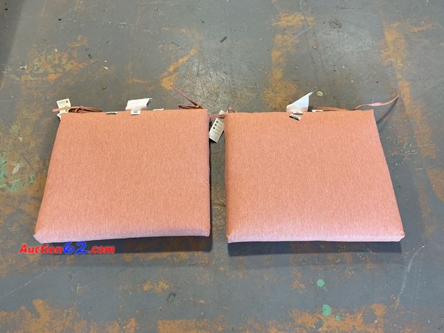 Lot 44-826 - Set of 2 Pink Square Seat Cushions See All Photo's Not Tested E-Commerce Return, A basic inspection has been given to this item. Sold AS-IS.