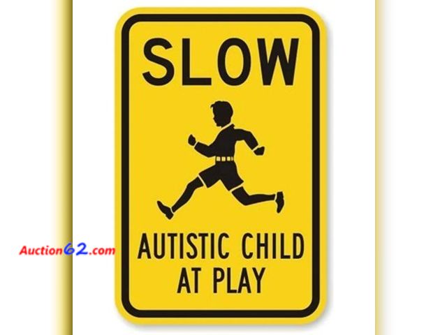 Lot 44-6518g - Aluminum Metal Autistic Child at Play Road Sign 8x12 Inches Appears New
